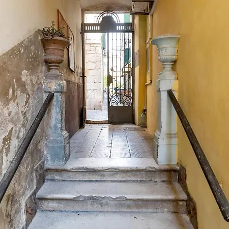 Vitelli And